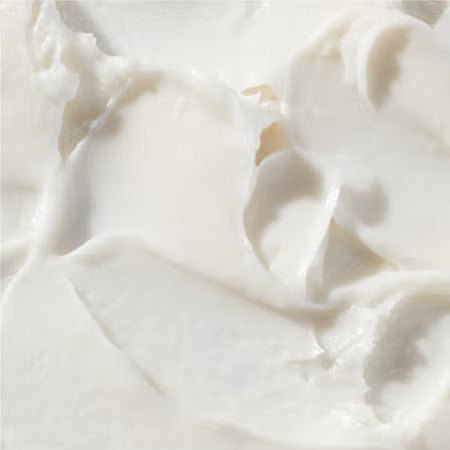 Squalane + Ectoin Overnight Rescue